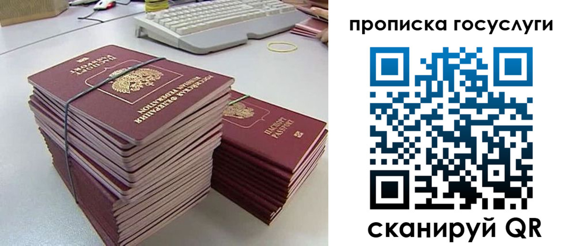временная регистрация для школы в Палласовке