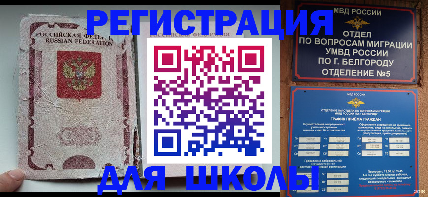 прописка штамп в Палласовке